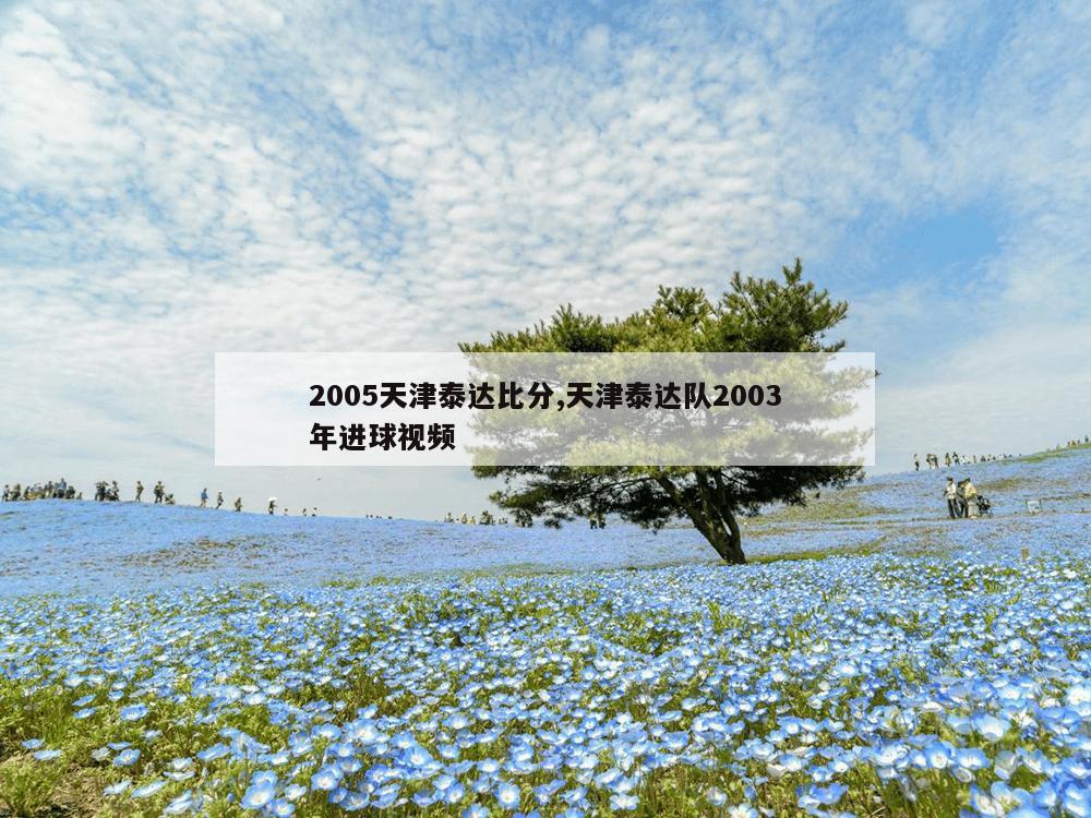 2005天津泰达比分,天津泰达队2003年进球视频