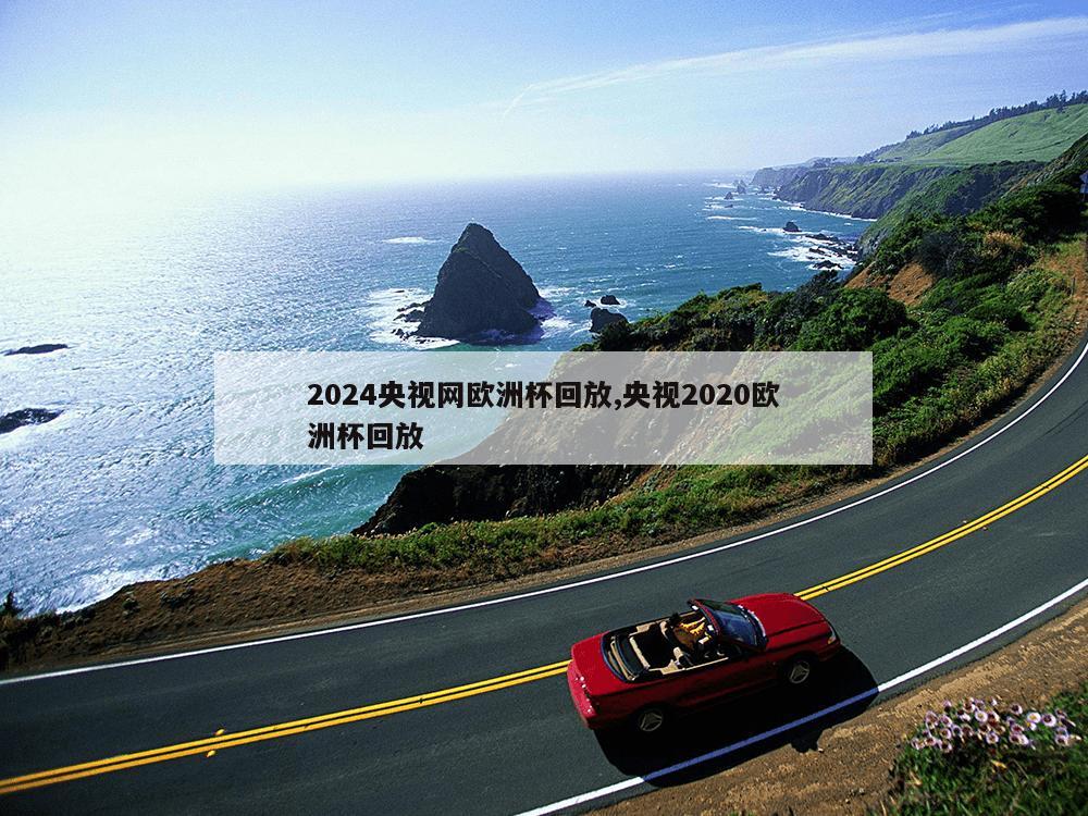 2024央视网欧洲杯回放,央视2020欧洲杯回放