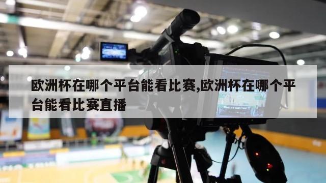 欧洲杯在哪个平台能看比赛,欧洲杯在哪个平台能看比赛直播