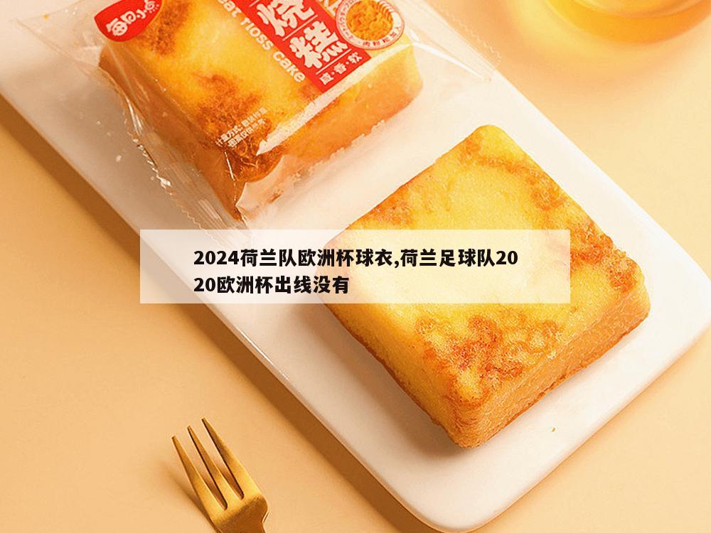 2024荷兰队欧洲杯球衣,荷兰足球队2020欧洲杯出线没有