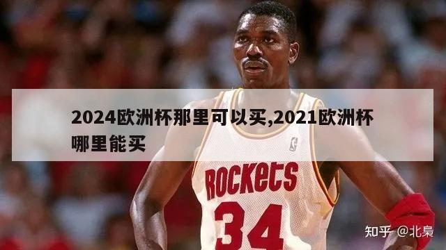 2024欧洲杯那里可以买,2021欧洲杯哪里能买