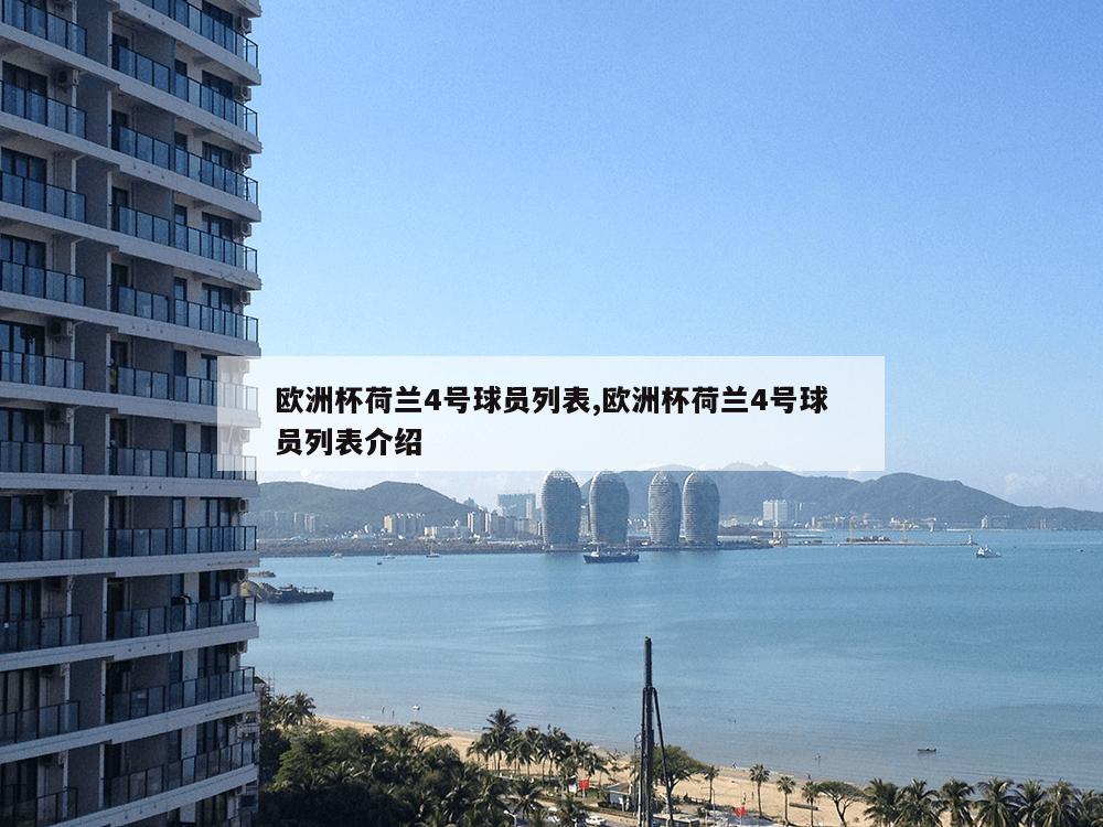 欧洲杯荷兰4号球员列表,欧洲杯荷兰4号球员列表介绍