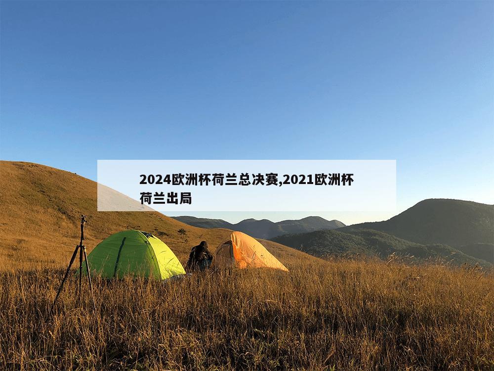 2024欧洲杯荷兰总决赛,2021欧洲杯荷兰出局