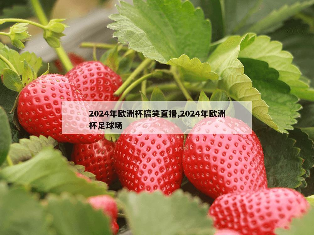 2024年欧洲杯搞笑直播,2024年欧洲杯足球场