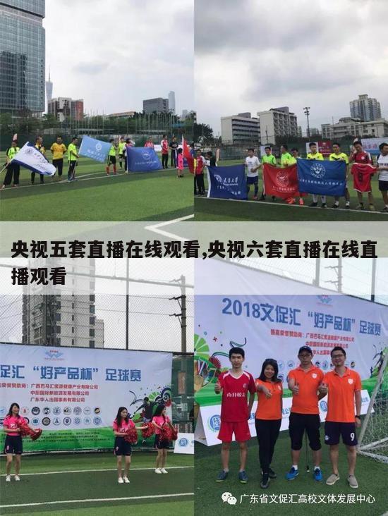 央视五套直播在线观看,央视六套直播在线直播观看